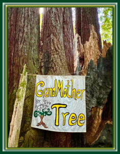 grandmother tree hand-painted banner